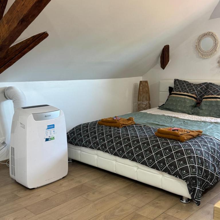 Le cocon du leman Un espace cosy oú vous retrouver - Appartement 1 Chambre - 11