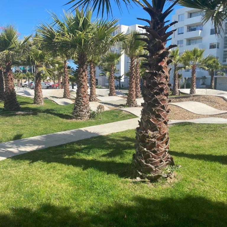 Departamento excelente ubicación, a pasos del faro - Two-Bedroom Apartment with Balcony and Terrace - 28
