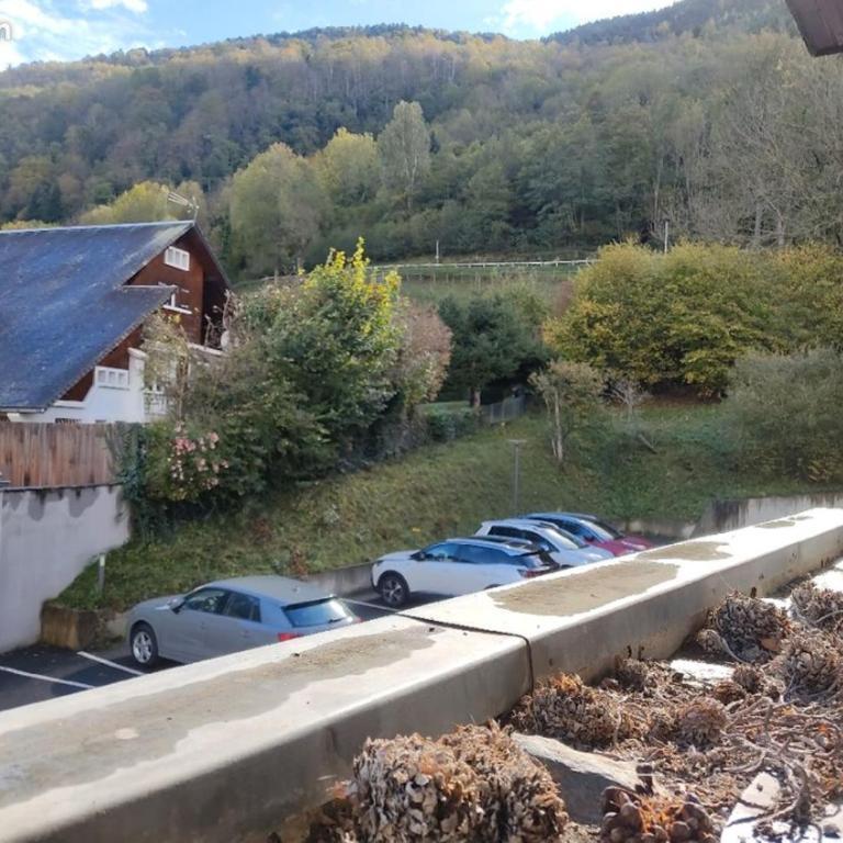 Appartement confortable Saint Lary village - Apartamento de 1 dormitorio - 10