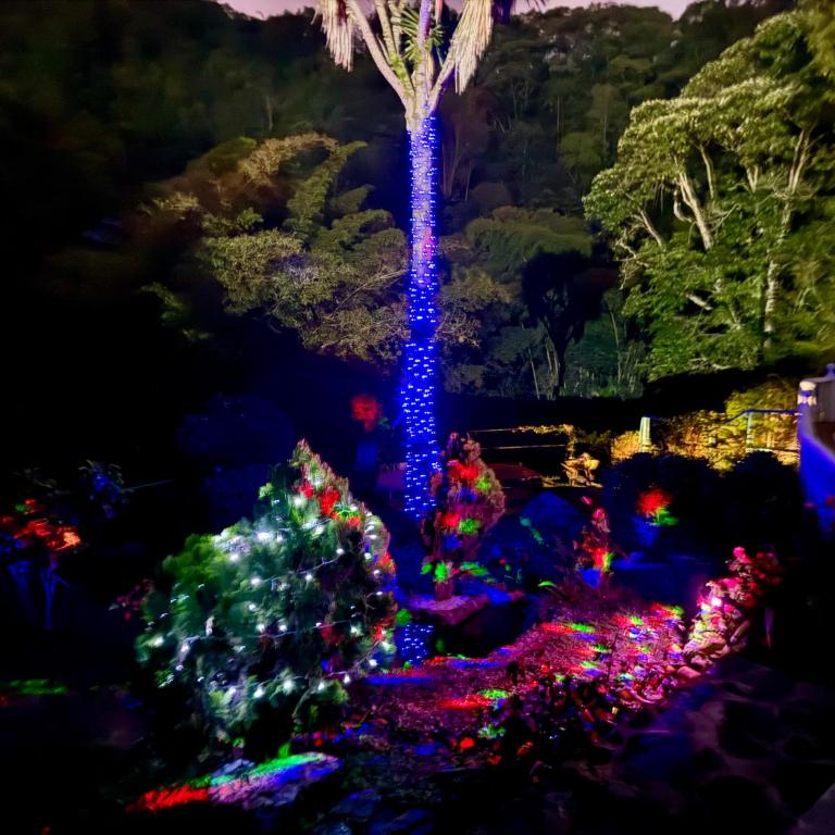 Rincón del Colibrí - Habitación Doble con vistas al parque - 50