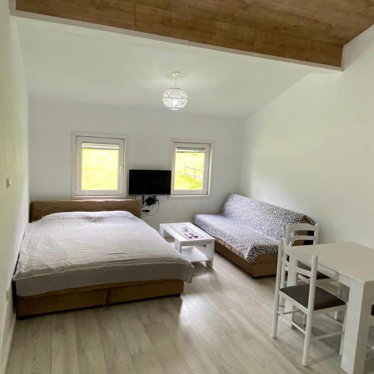 Apartman-kuća-Žabljak - One-Bedroom Apartment - 3