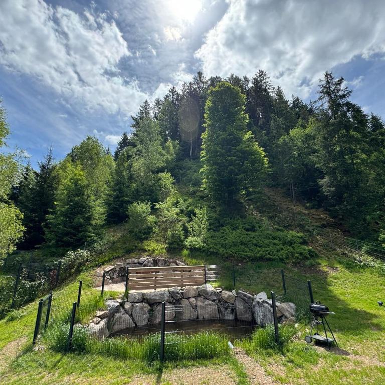 Chalet du saut de la bourrique, plain-pied, SPA couvert, terrain clôturé - Chalet 2 Chambres - 4
