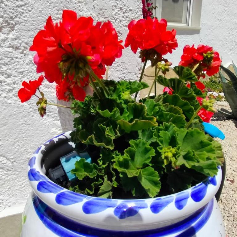 Villa La Musica - Villa de 3 dormitorios - 24