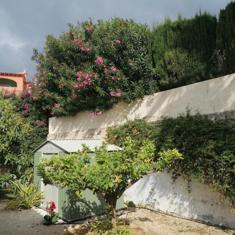 Villa La Musica - Villa de 3 dormitorios - 22