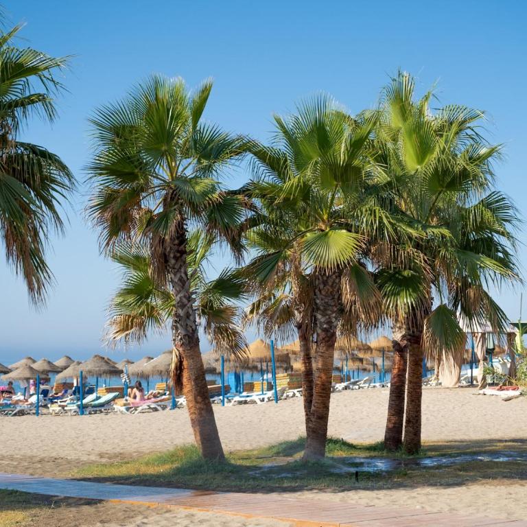 Pass the Keys Chic Retreat in the heart of La Cala - One-Bedroom Apartment - 20