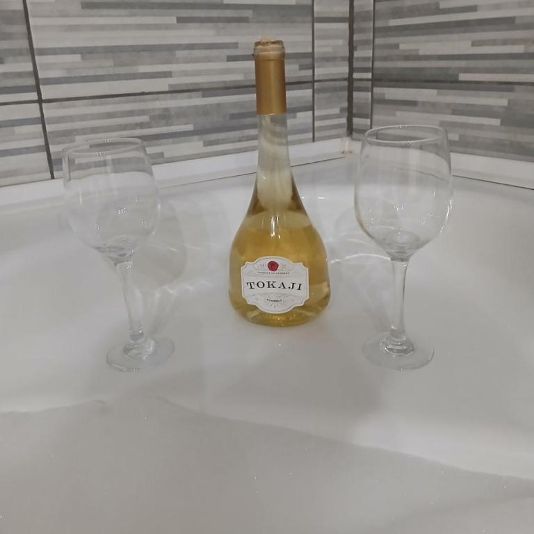 MilicaNS2 - Apartman sa 1 Spavaćom Sobom - 12