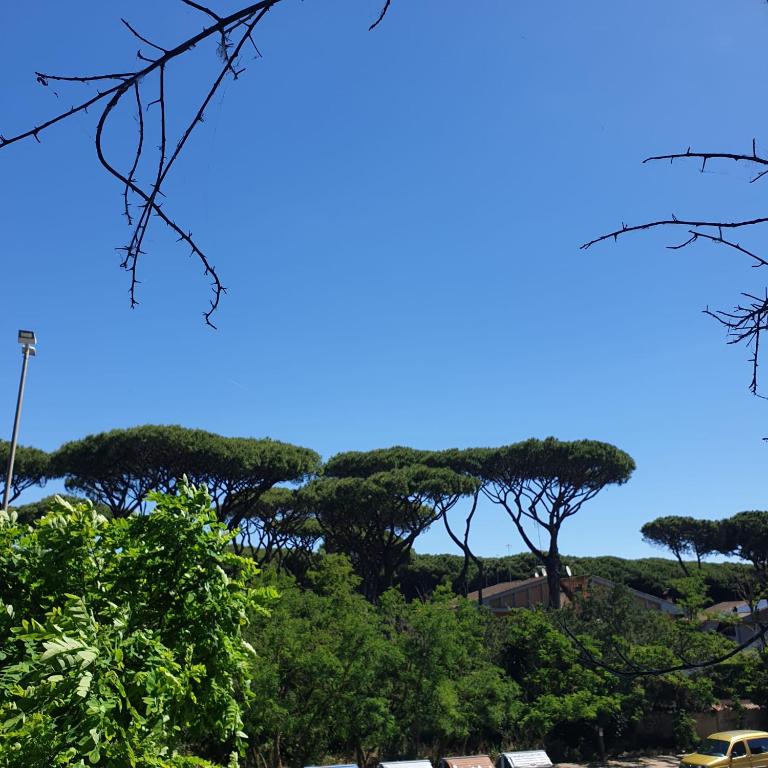 La casa di Ale - Appartamento con 2 Camere da Letto - 32