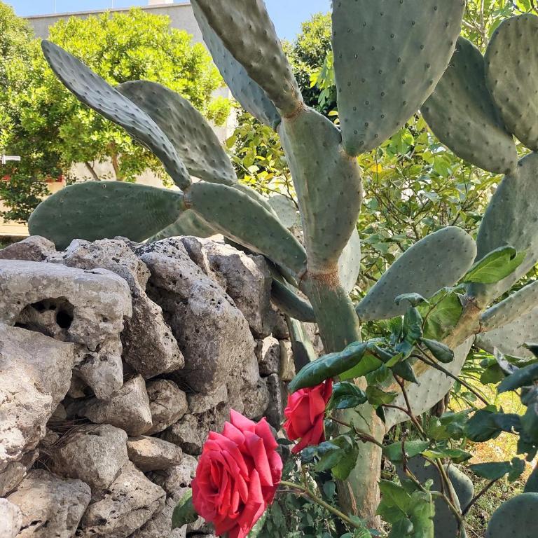 La Specchia - Dimore in natura - Appartamento con 1 Camera da Letto - 28