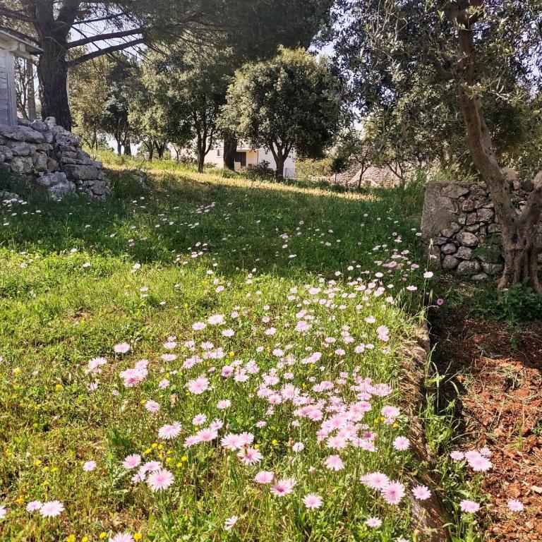 La Specchia - Dimore in natura - Appartamento con 1 Camera da Letto - 35