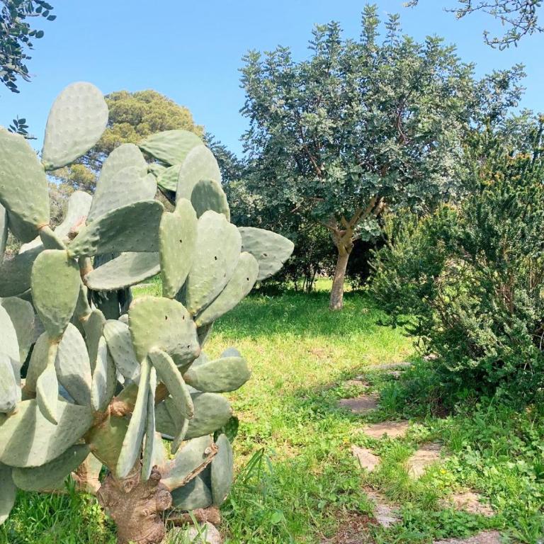 La Specchia - Dimore in natura - Appartamento con 1 Camera da Letto - 36