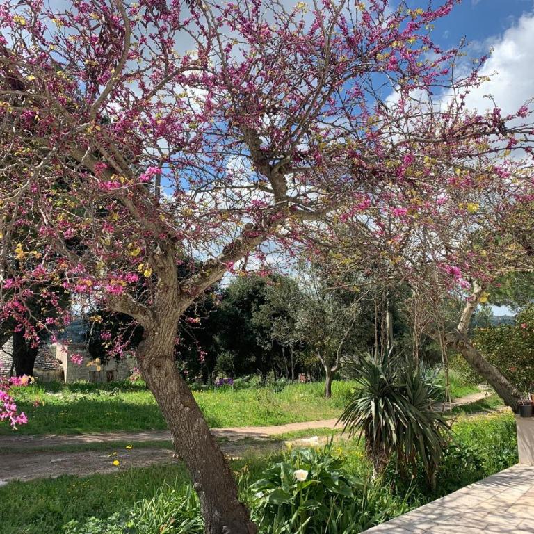 La Specchia - Dimore in natura - Appartamento con 1 Camera da Letto - 37