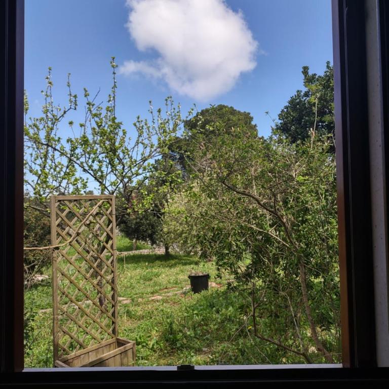 La Specchia - Dimore in natura - Appartamento con 1 Camera da Letto - 8