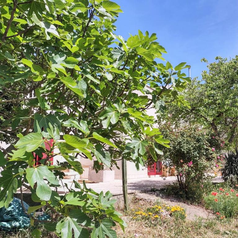 La Specchia - Dimore in natura - Appartamento con 1 Camera da Letto - 29
