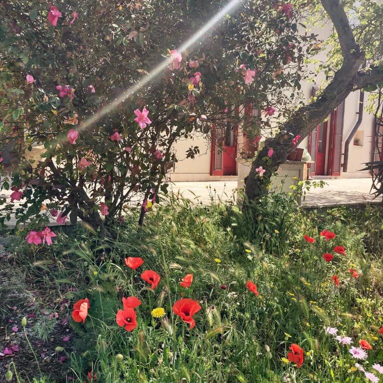 La Specchia - Dimore in natura - Appartamento con 1 Camera da Letto - 38
