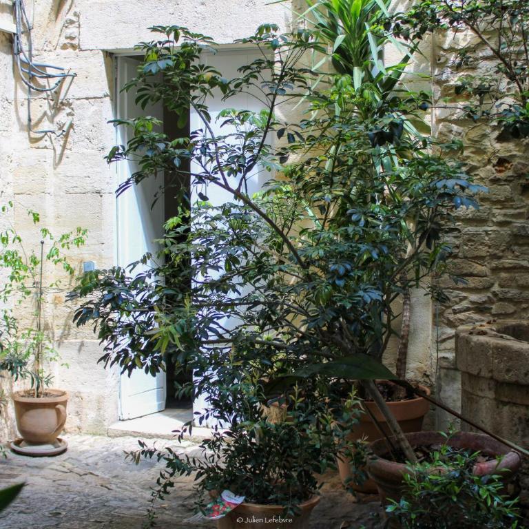 L escale Antique - Apartamento de 1 dormitorio - 20