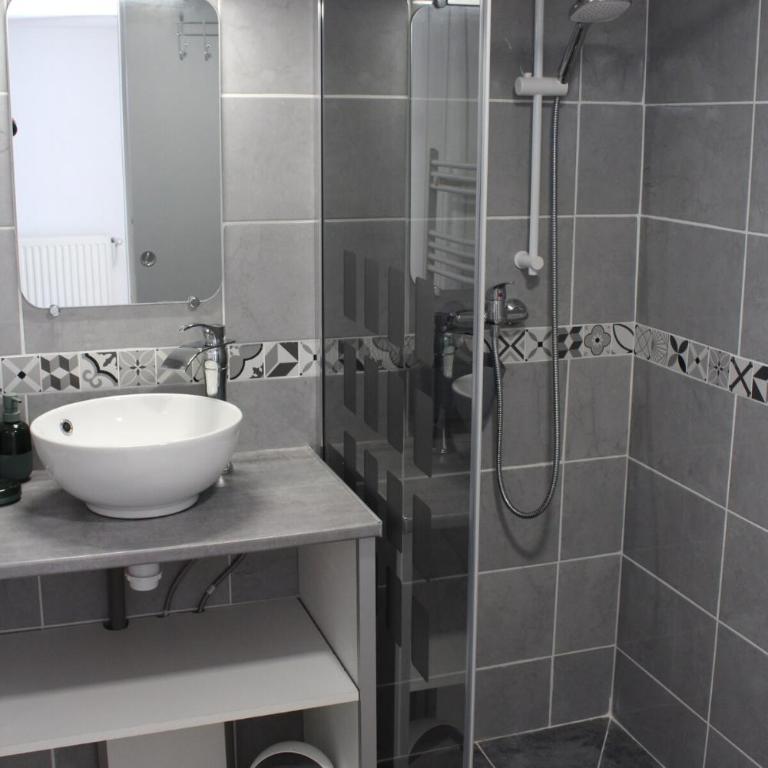 charmant studio plain-pied parking gratuit - Appartement 1 Chambre - 2