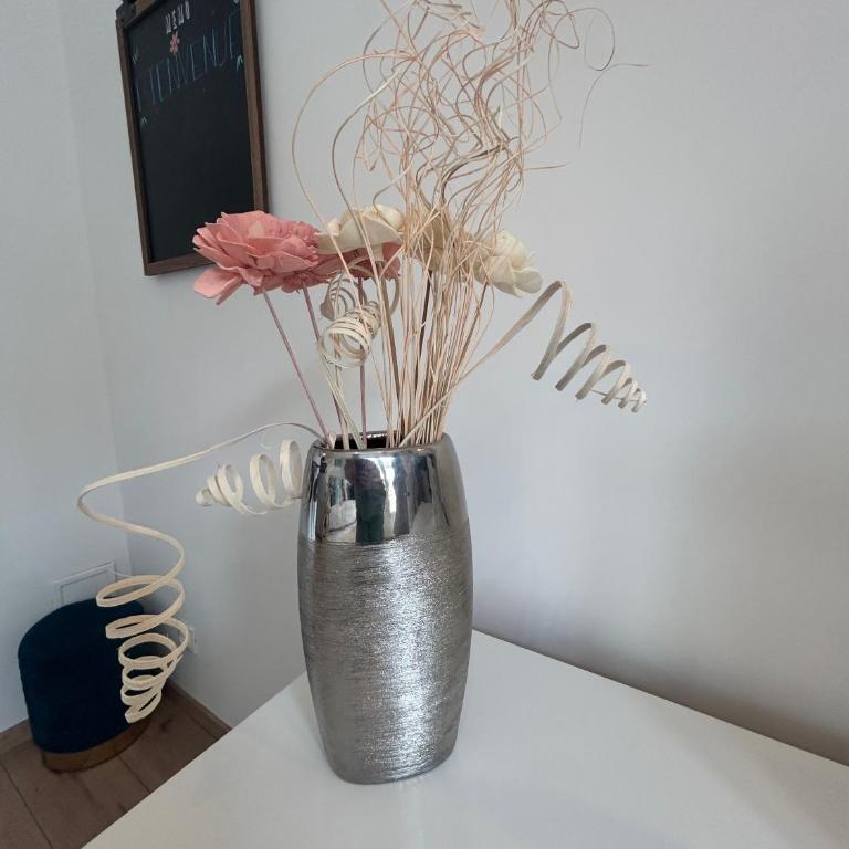 Les Embruns - studio cosy plage & centre - dog friendly - Studio - 10
