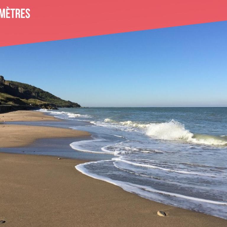 Les Embruns - studio cosy plage & centre - dog friendly - Studio - 18