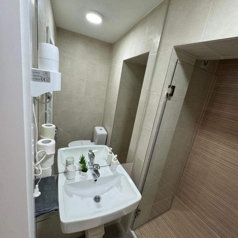 Apartments HAN 2 Sarajevo - Deluks Dvokrevetna Soba sa Bračnim Krevetom/Zasebnim Krevetima - 10