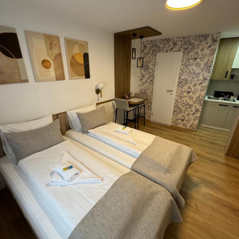Apartments HAN 2 Sarajevo - Deluks Dvokrevetna Soba sa Bračnim Krevetom/Zasebnim Krevetima - 11