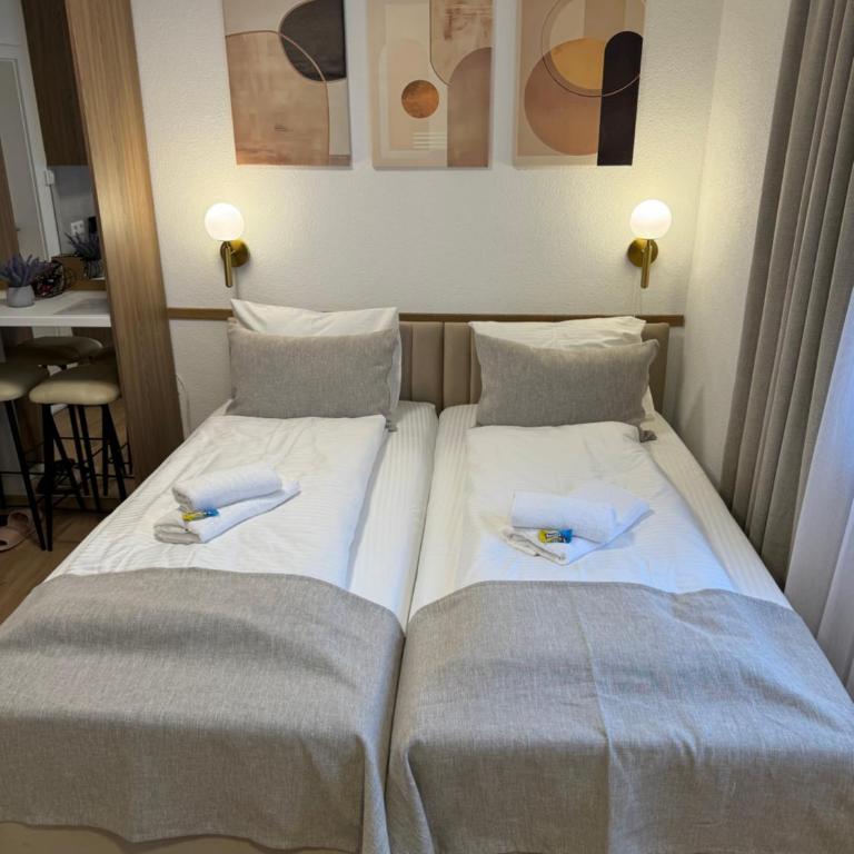Apartments HAN 2 Sarajevo - Superior Dvokrevetna Soba sa Bračnim Krevetom / Zasebnim Krevetima i Pogledom na Grad - 11