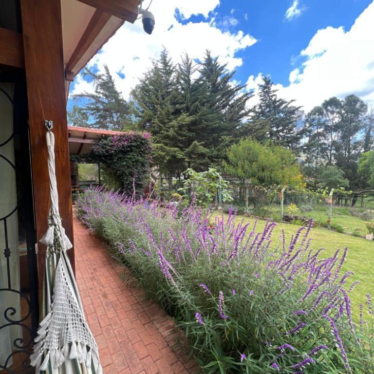 Serenia - Three-Bedroom House - 3