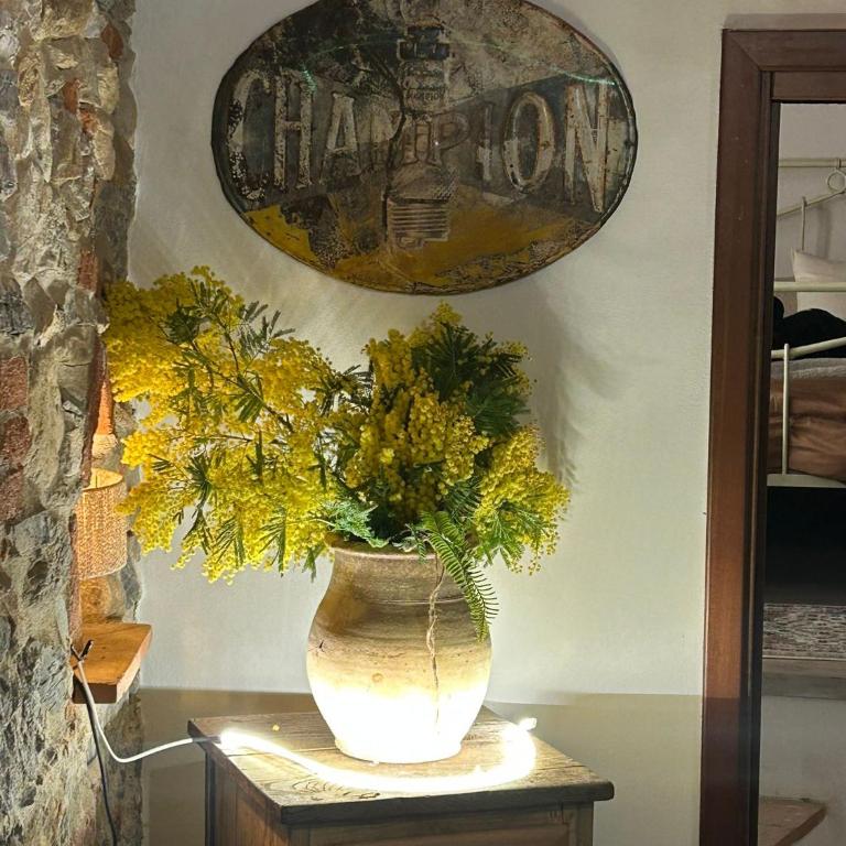 Appartamento a Paganotti - Appartement 1 Chambre - 34