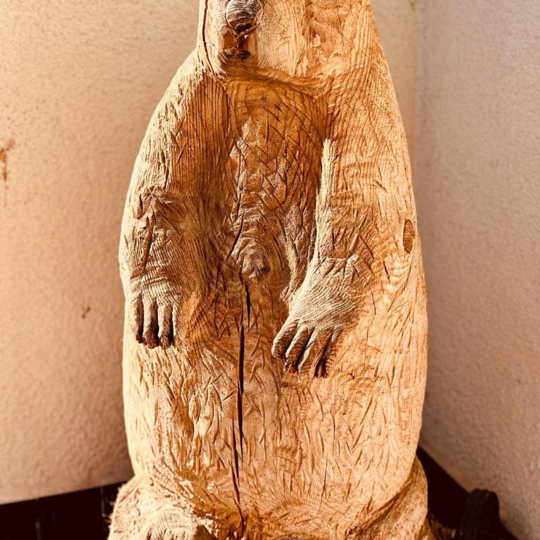 La Marmotte - Villa 3 Chambres - 42