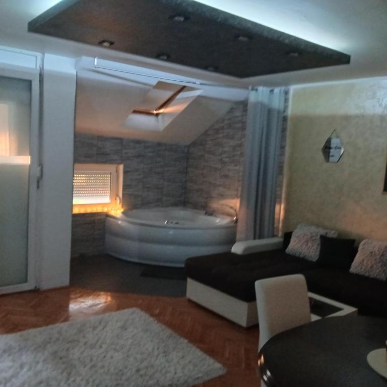 MilicaNS2 - Apartman sa 1 Spavaćom Sobom - 5