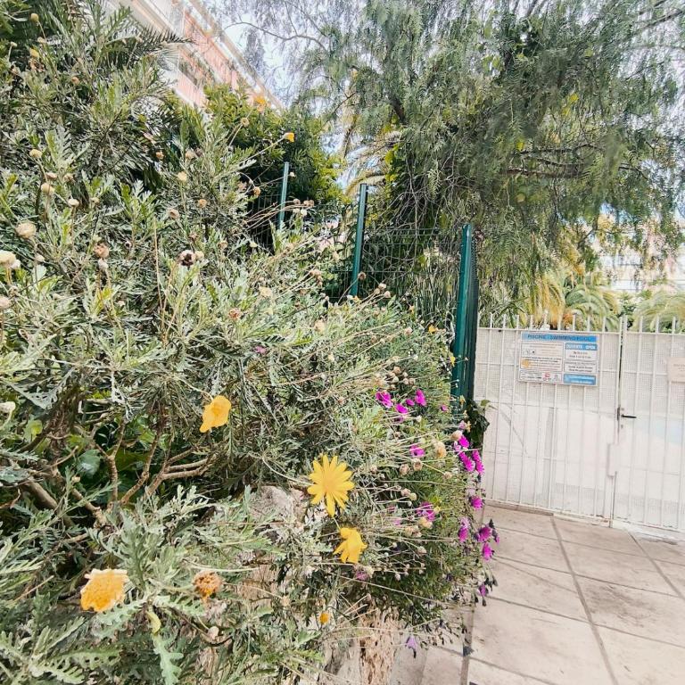 Home2Sea - Piscine, Jardin, studio cabine, 1 canapé lit convertible 2 ADULTES, 1 lit superposé triple 3 ENFANTS ou ADOS - Appartement 1 Chambre - 46