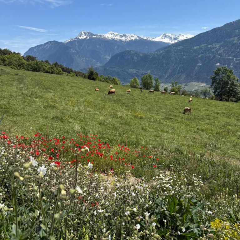 Maison Panorama Alpes Suisses & Sauna - Casa de 5 dormitorios - 77