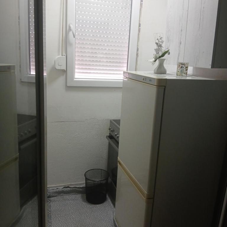 MilicaNS2 - Apartman sa 1 Spavaćom Sobom - 21