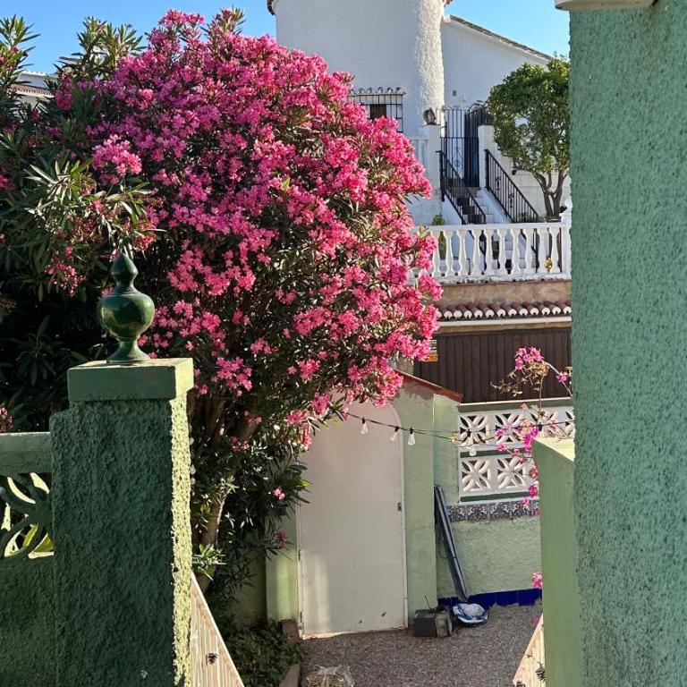 Authentic Andalusian Boho Villa - Pool - Garden-BBQ- 7 Guests - Villa de 3 dormitorios - 53