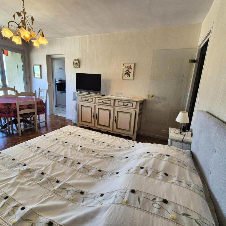 Résidence Le Cheverny - Proche Parc Boisé agréable logement 2 personnes ! MAE-7134 - Estudio - 3