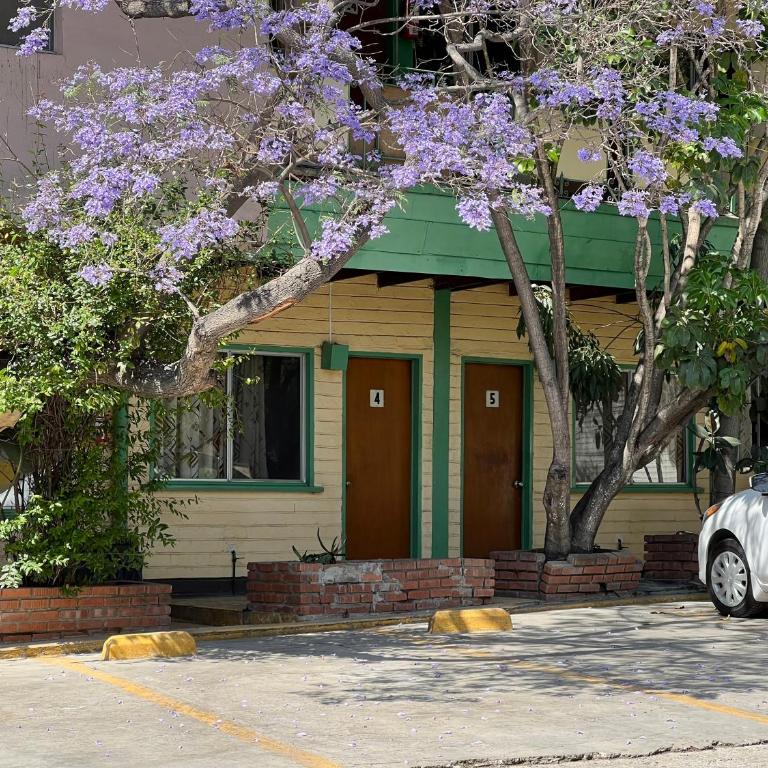 Motel Maya - Standard Quadruple Room - 4