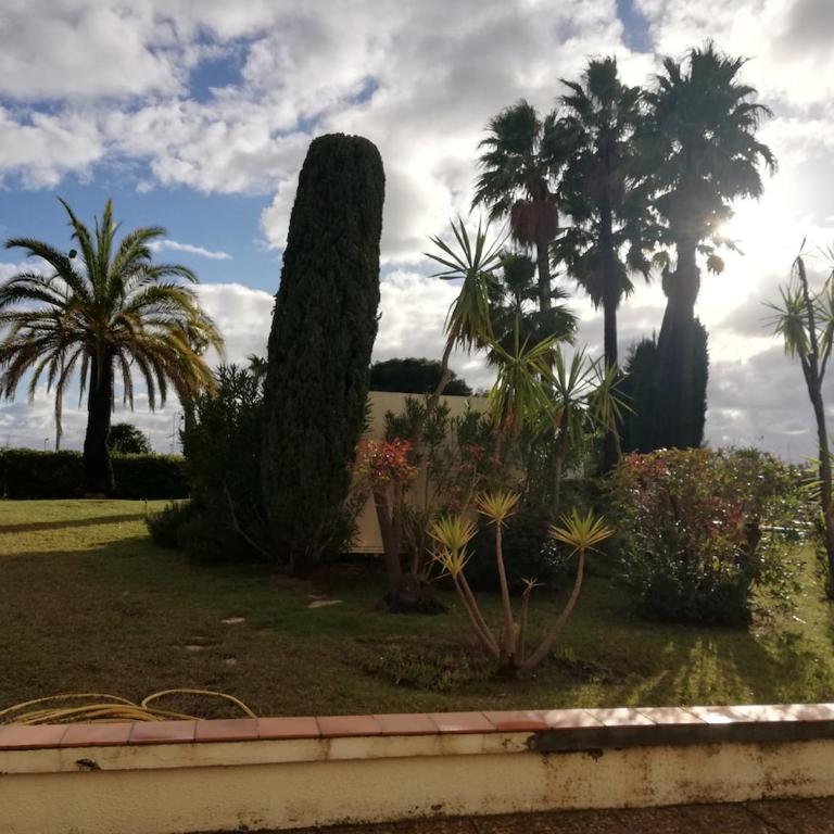 Studio calme proximité plage - Appartement 1 Chambre - 10