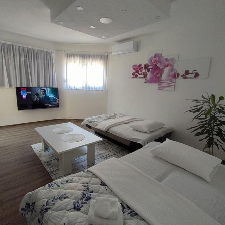 Apartman Orhideja - One-Bedroom Apartment - 11