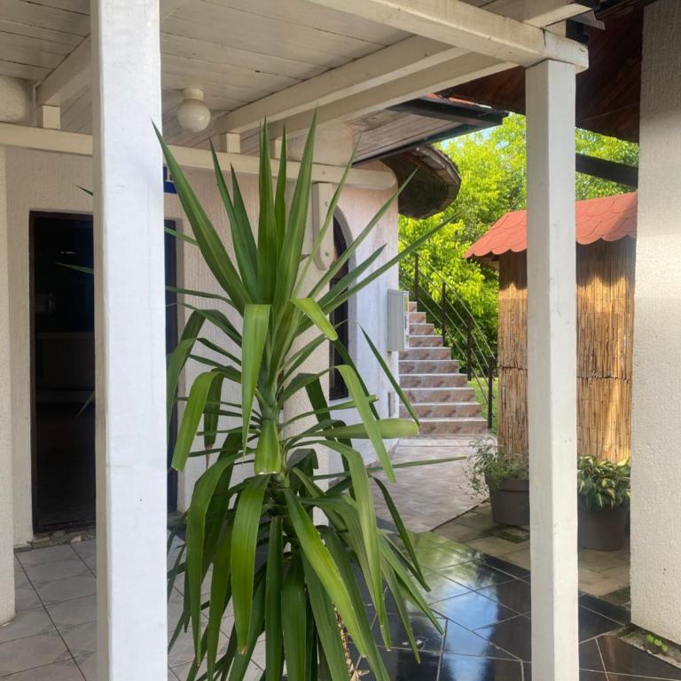 Studio Carobna Dunja - One-Bedroom Apartment - 15