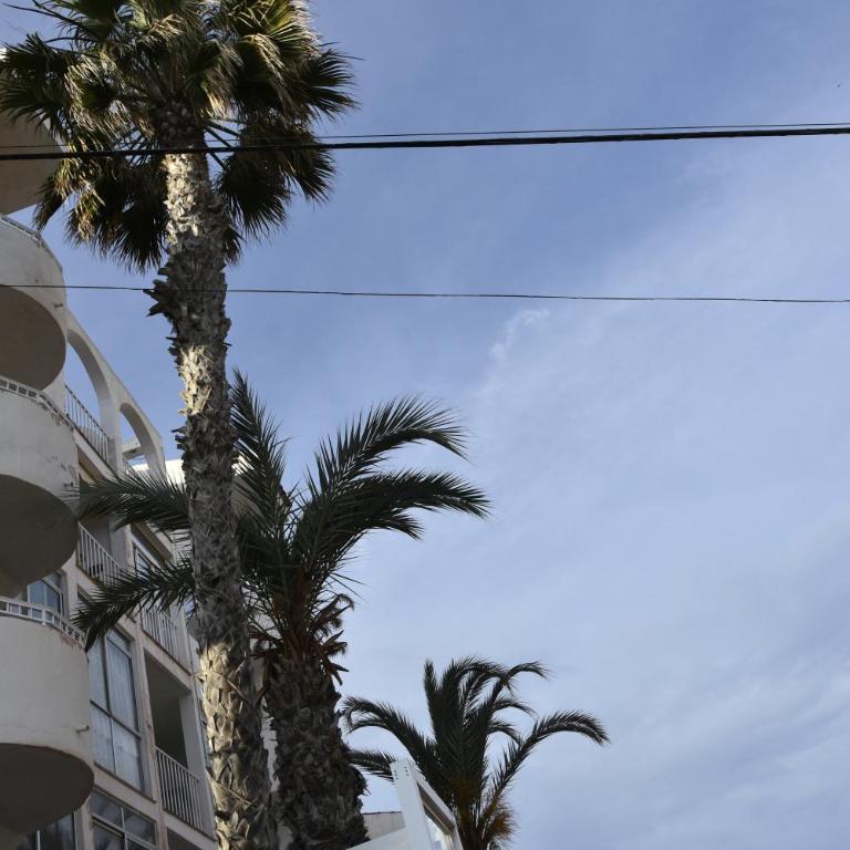 Casa Amor - Two-Bedroom Apartment - 85