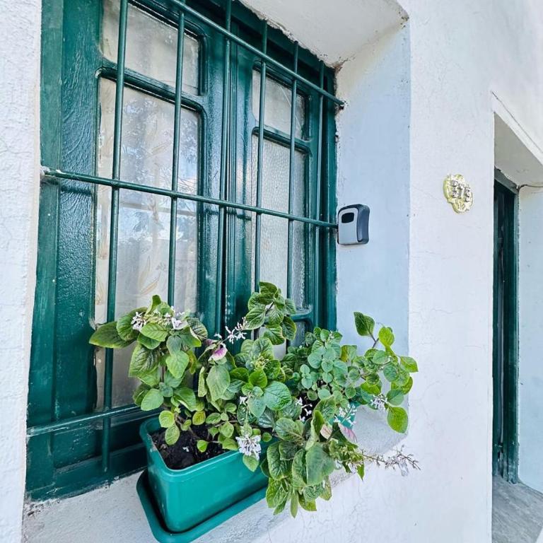Manuel Apart - Apartamento de 1 dormitorio - 1