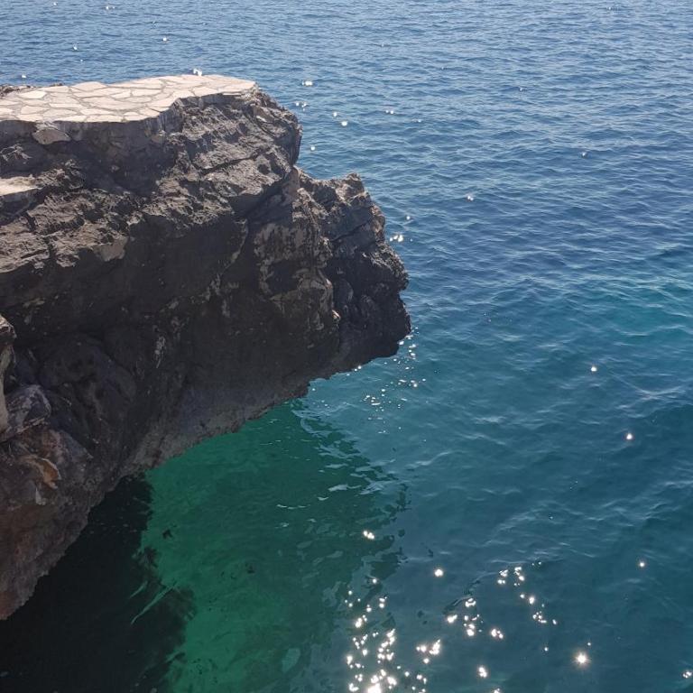 Emerald Dreamscape with Private Beach & Pool - One-Bedroom Apartment - 9
