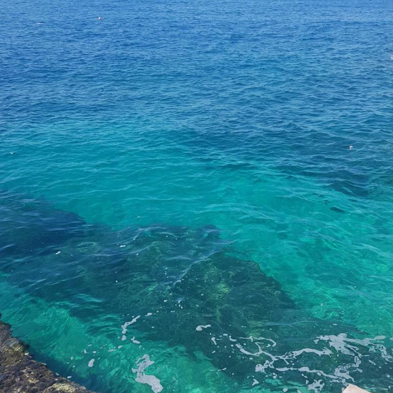 Emerald Dreamscape with Private Beach & Pool - One-Bedroom Apartment - 11