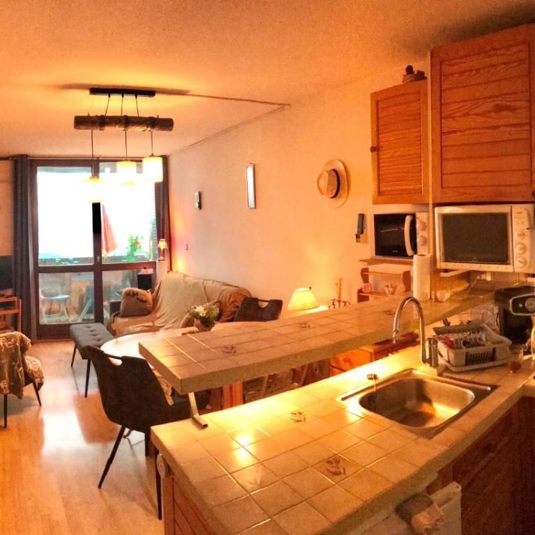 Appartement, cosy, balcon, plein Sud - Appartement 1 Chambre - 8