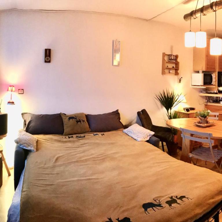 Appartement, cosy, balcon, plein Sud - Appartement 1 Chambre - 3