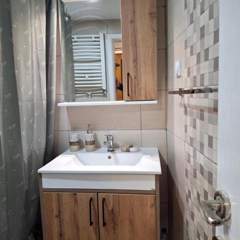 A&S Apartments Nis - Deluks Studio sa Bračnim Krevetom (King-size) - 16