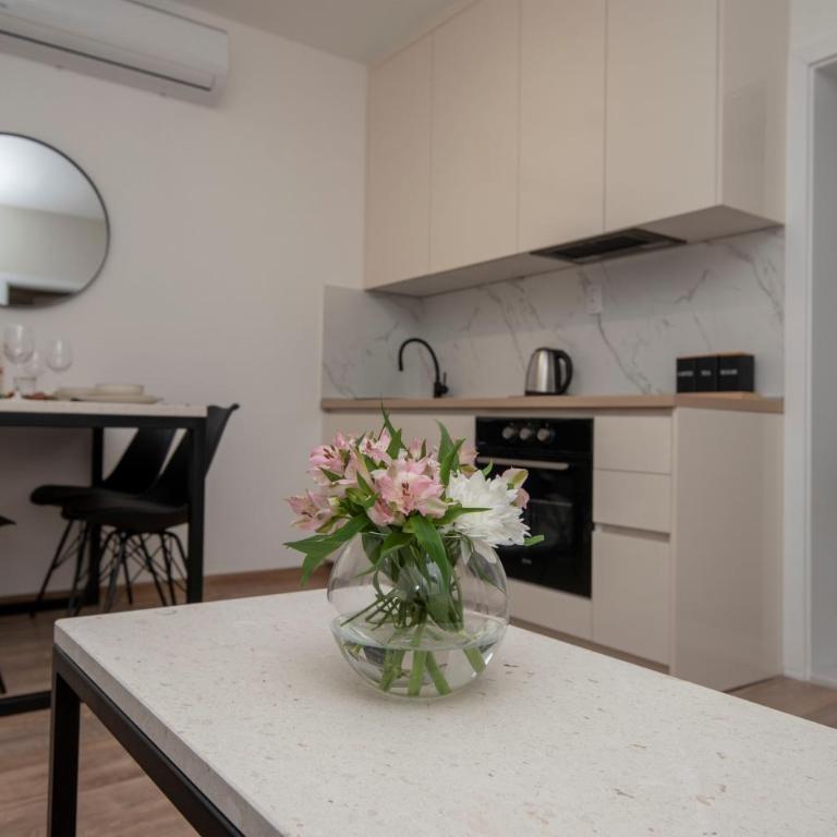 Azzurro Apartments with Swimming pool & Jacuzzi - Apartman sa 1 Spavaćom Sobom - 12