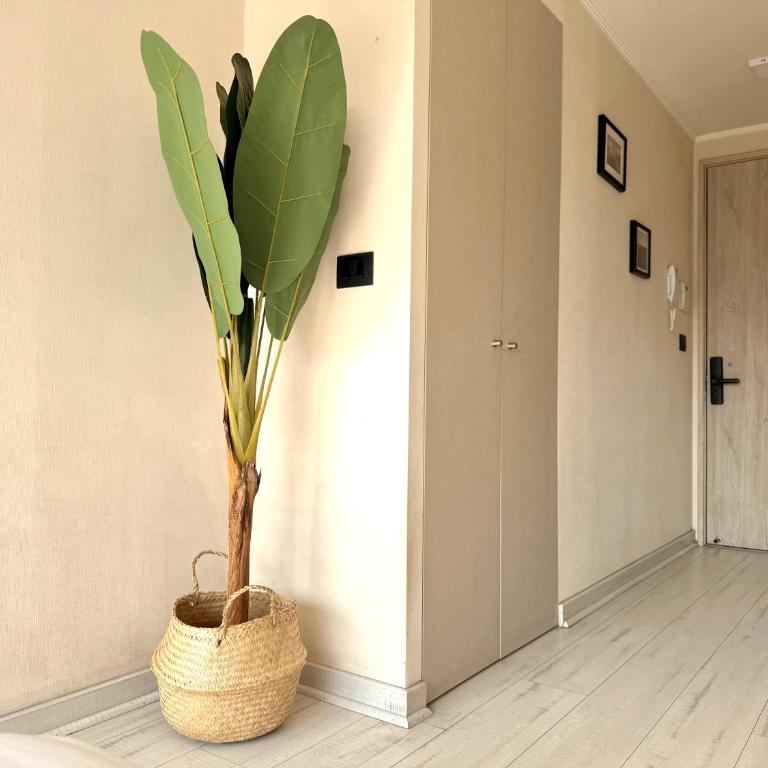 Studio amplio en Ñuñoa - Apartamento de 1 dormitorio - 3