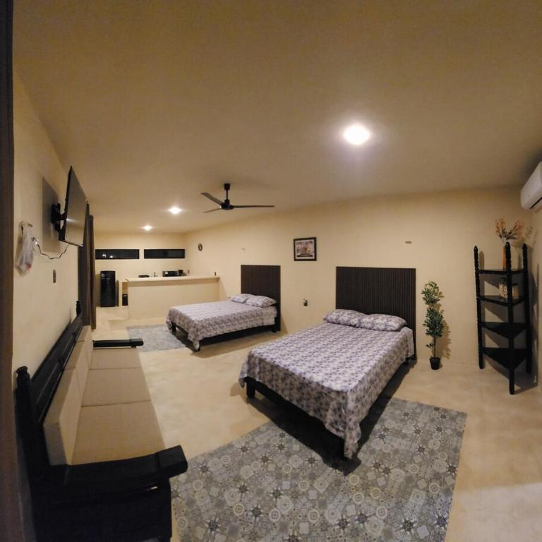 Casa Robinson 5 - Apartamento de 1 dormitorio - 2