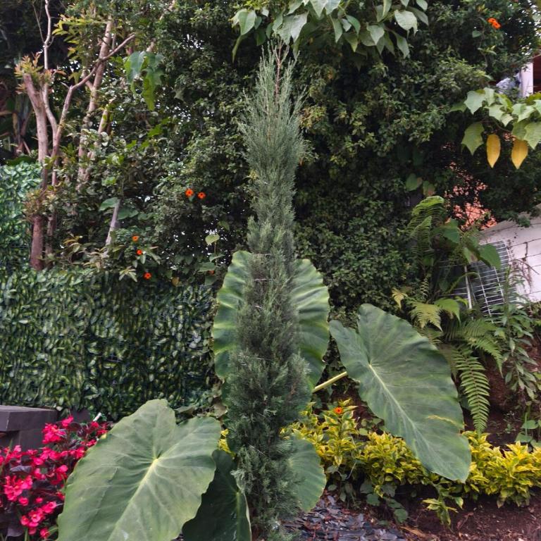 Medellín Luxury cabin in Rionegro Ant Airport - Chalet de 1 dormitorio - 36