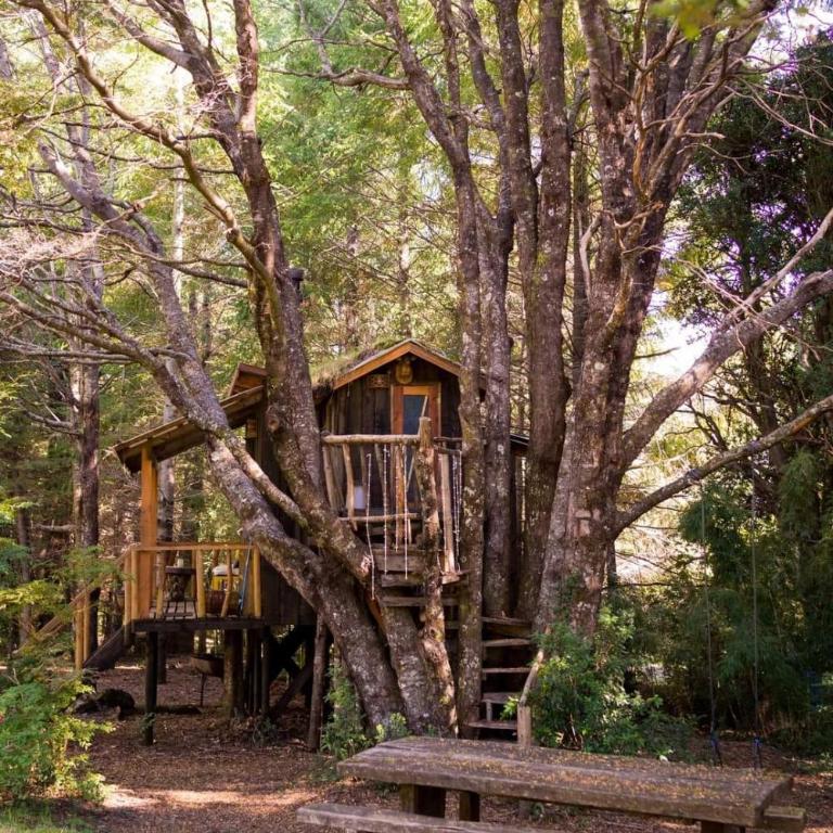 Pucón Volcano Forest SPA - Chalet de 1 dormitorio - 1